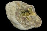 Yellow Crystal Filled Septarian Geode - Utah #157075-2